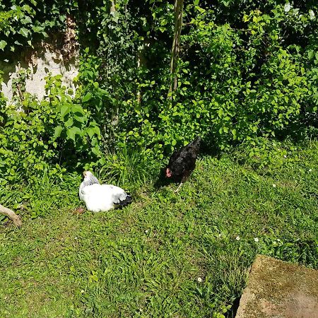 2 Chambres D 'Hotes Chez Un Particulier Avec Piscine Saint-Leu-la-Foret Kültér fotó